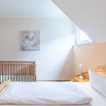 Duenenhaeuser Haus 8 *